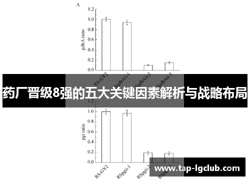 药厂晋级8强的五大关键因素解析与战略布局 药厂晋级8强的五大关键因素解析与战略布局