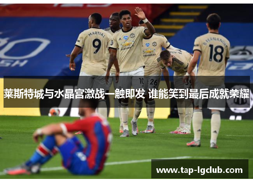 莱斯特城与水晶宫激战一触即发 谁能笑到最后成就荣耀 莱斯特城与水晶宫激战一触即发 谁能笑到最后成就荣耀