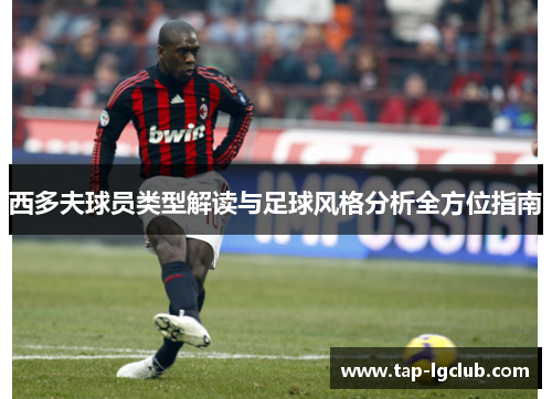 西多夫球员类型解读与足球风格分析全方位指南 西多夫球员类型解读与足球风格分析全方位指南
