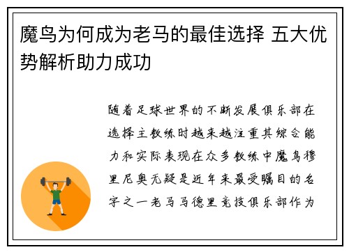 魔鸟为何成为老马的最佳选择 五大优势解析助力成功 魔鸟为何成为老马的最佳选择 五大优势解析助力成功